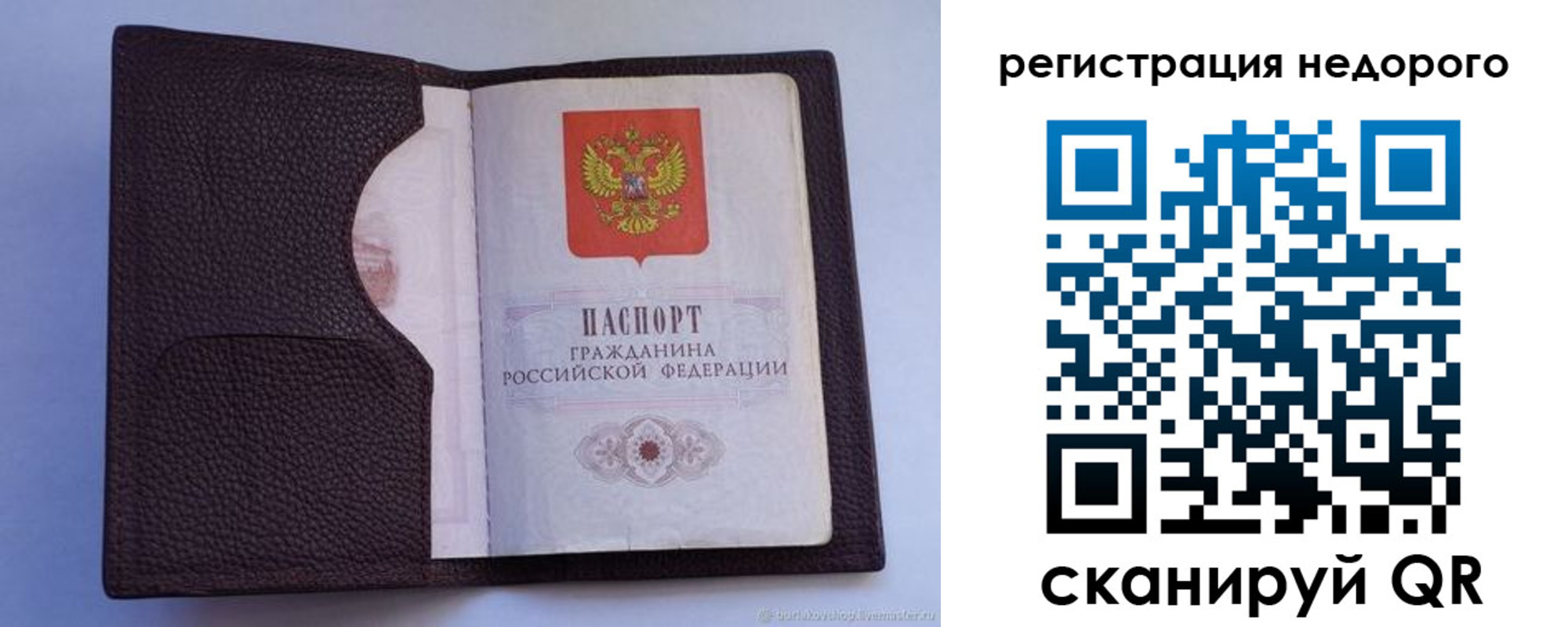 где прописаться в Борзе